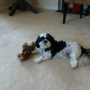 Meet your Posher, Virginia